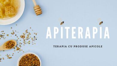 Apiterapia în tratamentul sclerozei multiple 22 Apiterapia